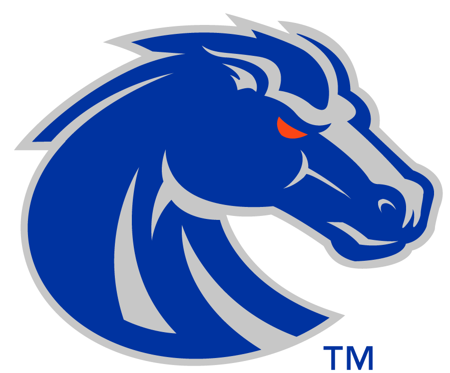 Boise State Broncos 2013-Pres Secondary Logo v2 iron on transfers for T-shirts